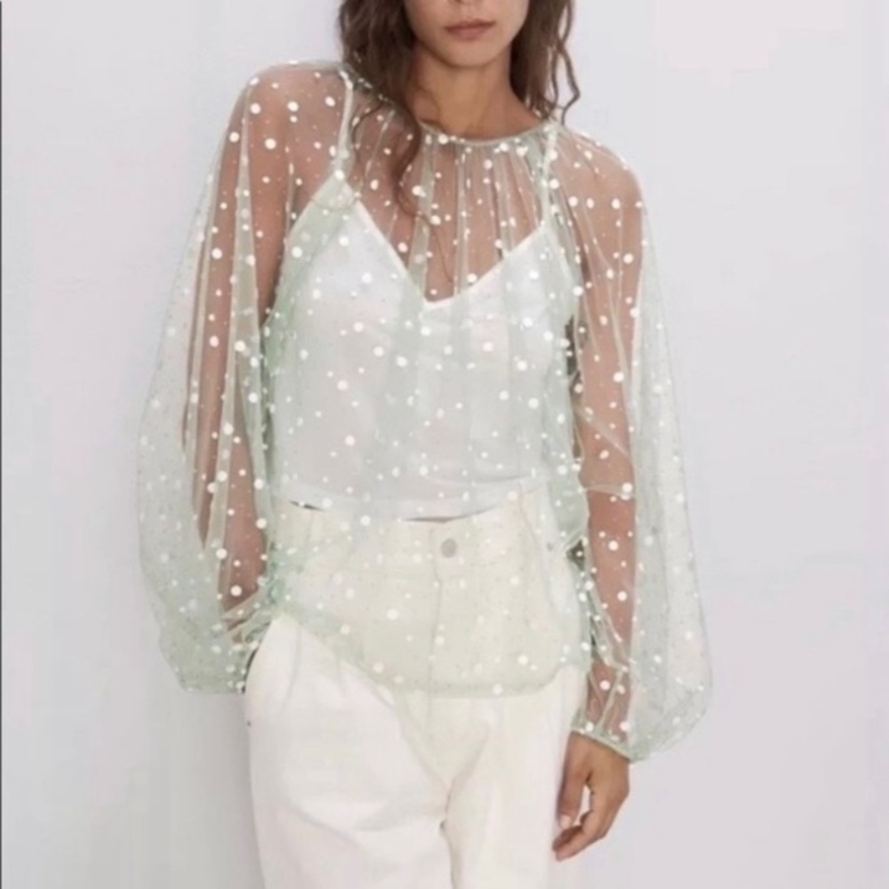 Zara Sheer Sparkly Blouse